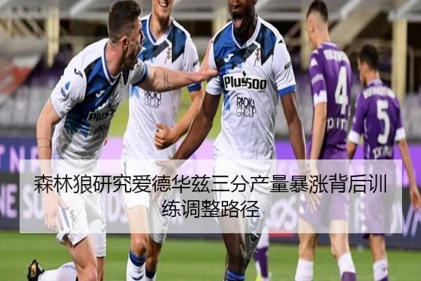 森林狼研究爱德华兹三分产量暴涨背后训练调整路径