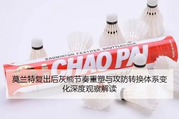 莫兰特复出后灰熊节奏重塑与攻防转换体系变化深度观察解读